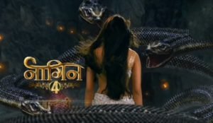 naagin 4 cast crew telecast timings story plot