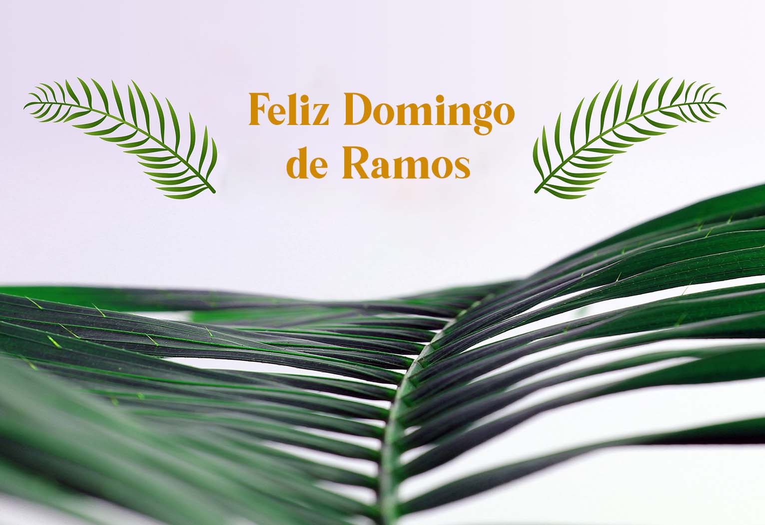 Feliz Domingo de Ramos 2022