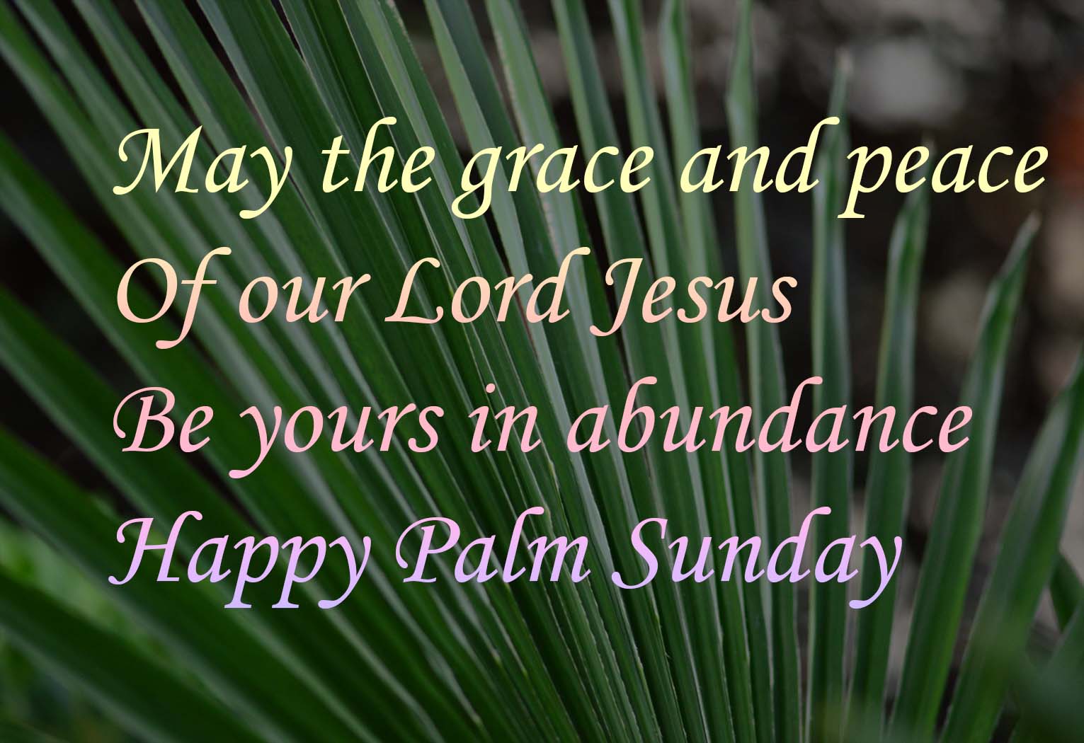 Happy Palm Sunday 2024 Greetings