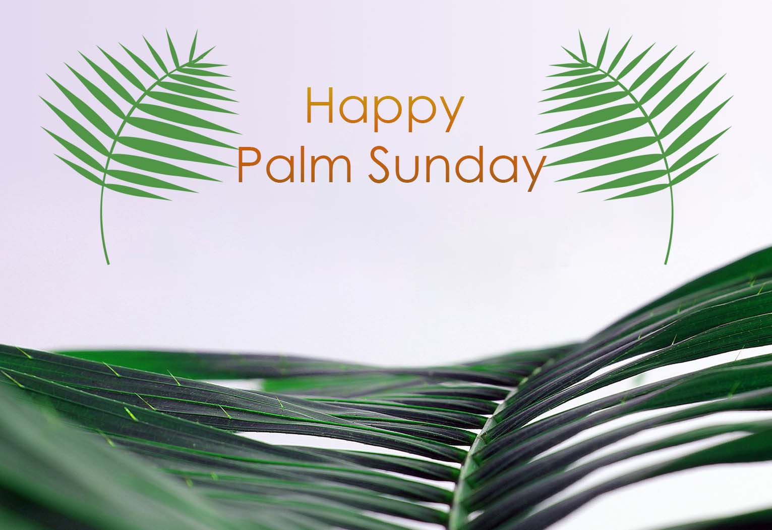 Happy Palm Sunday 2024 Images