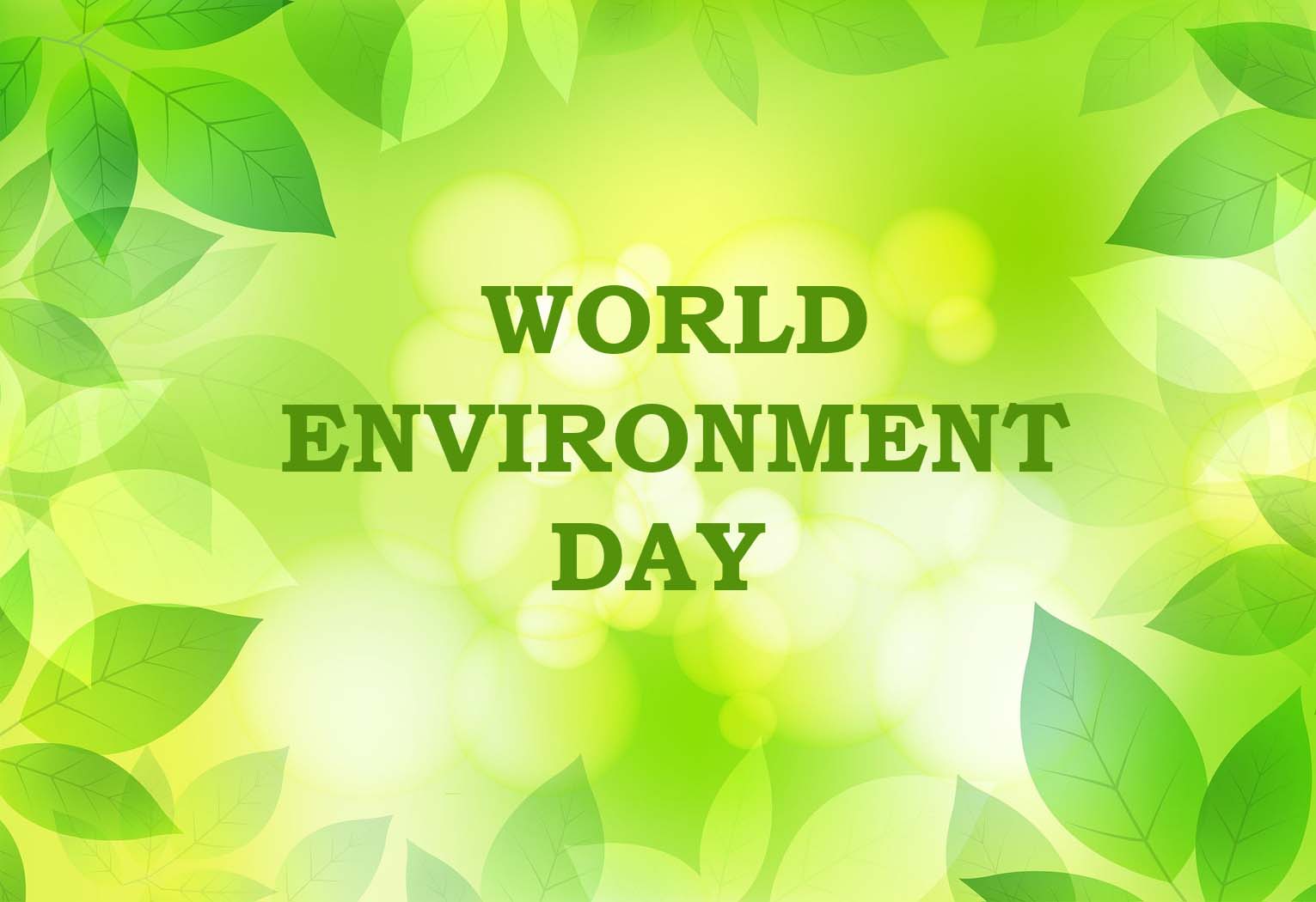 Environment Day 2022 images