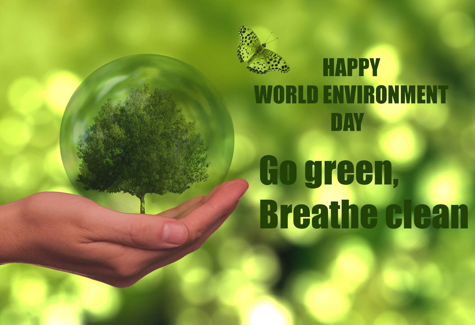 Environment day Posters 2022