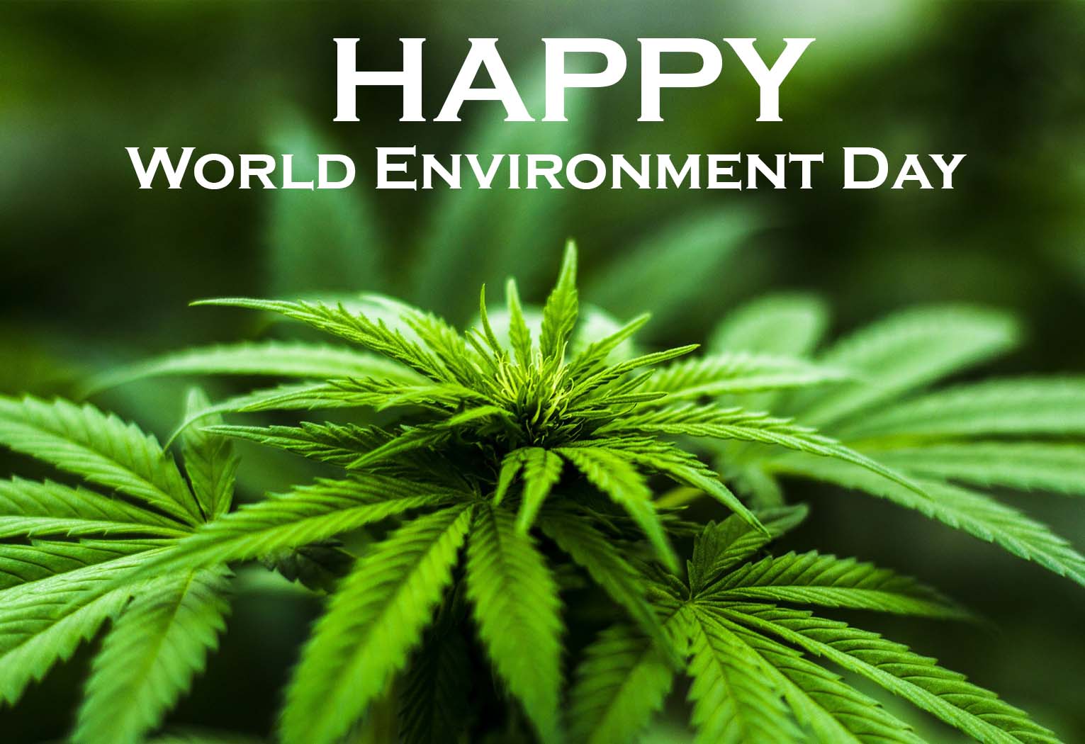 Happy World Environment Day 2022 Images