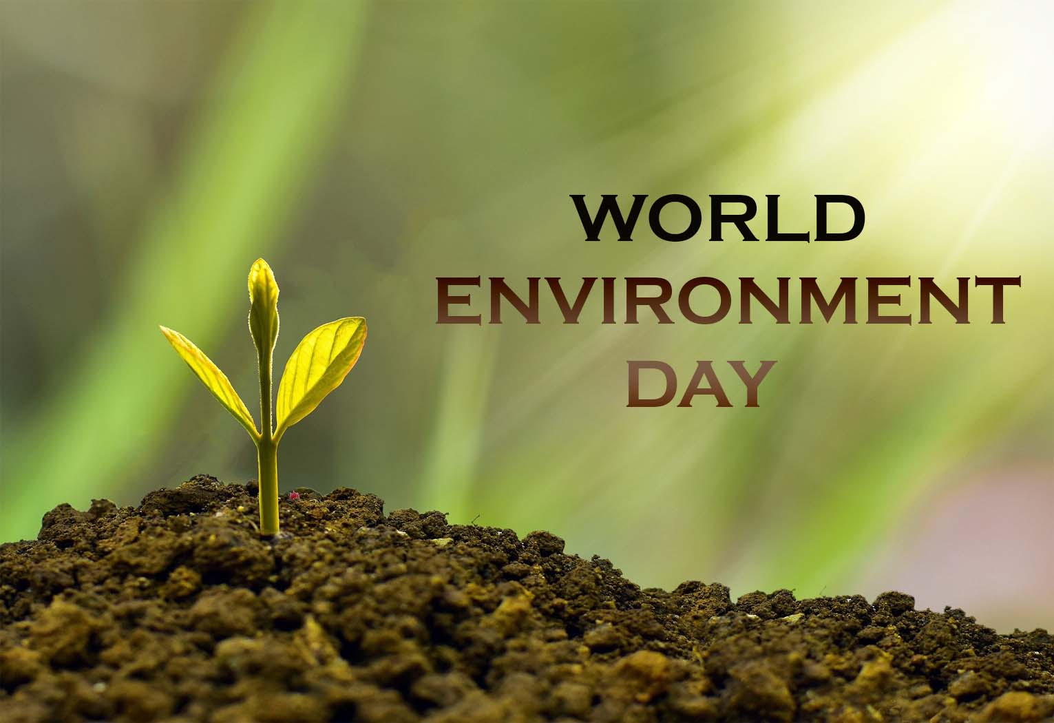 World Environment Day 2023: Images, Posters, Quotes and Slogans