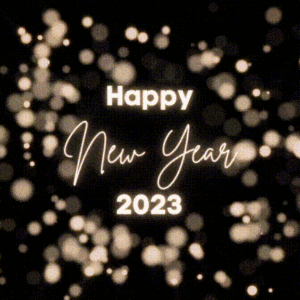 Happy New Year 2023 GIF Image