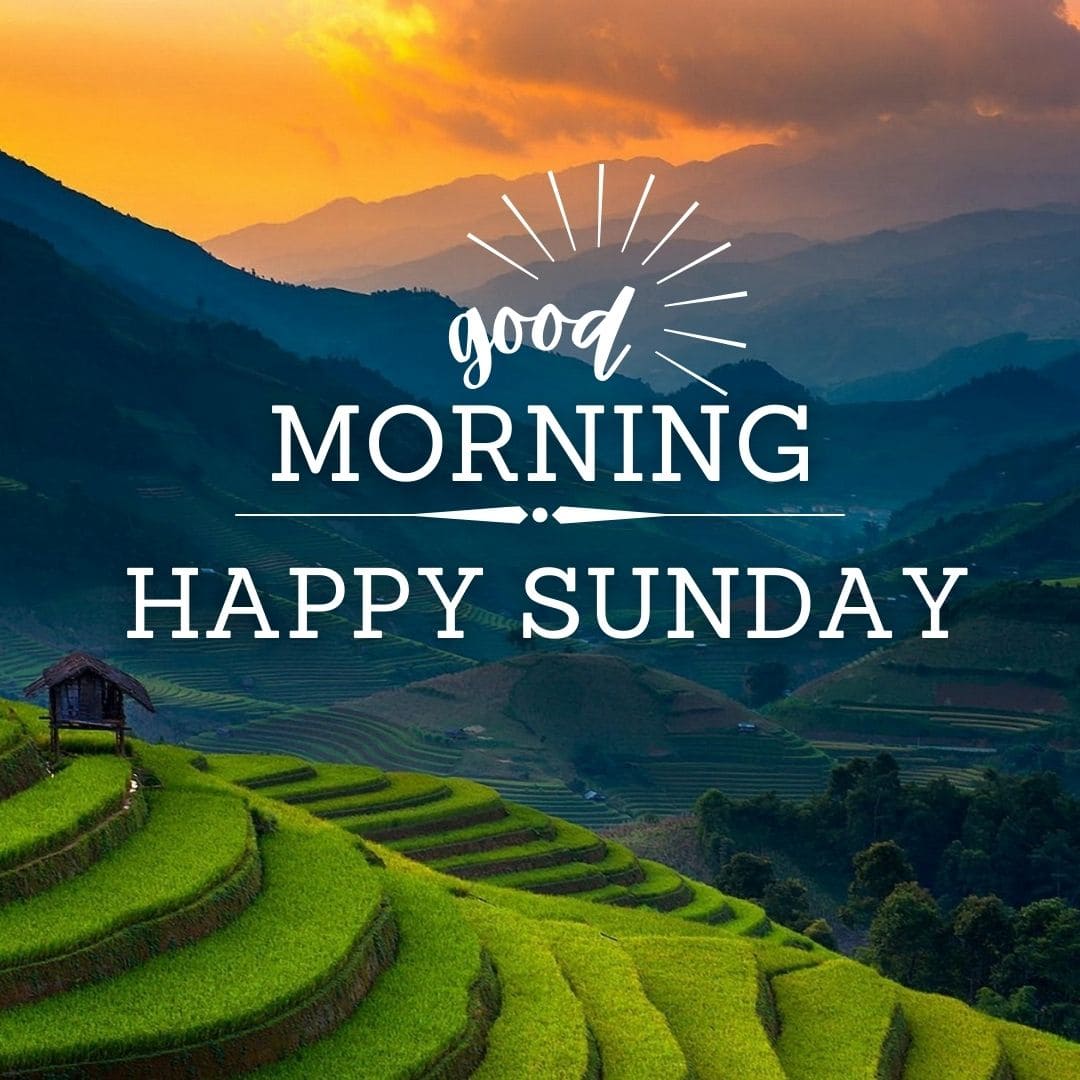 Good Morning Sunday Images, Also Get Best Happy Sunday Good ...
