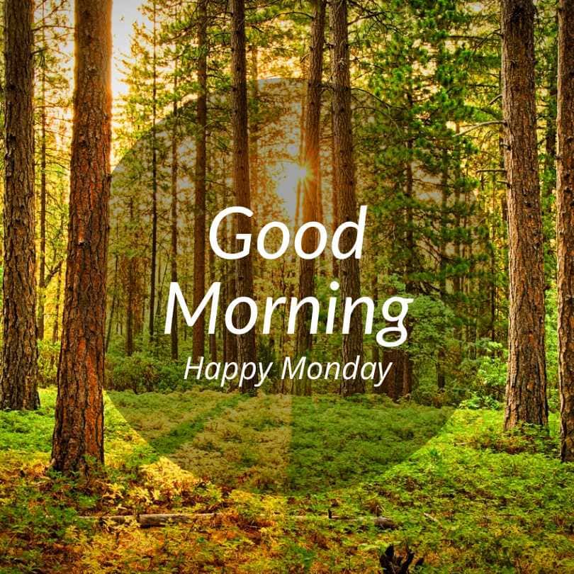 Best Good Morning Happy Monday Images