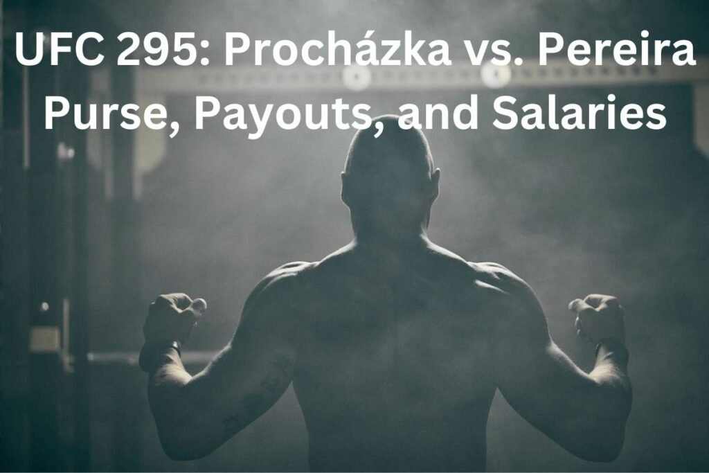 UFC 295: Procházka vs. Pereira Purse, Payouts, and Salaries
