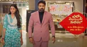 Eto Vellipoindi Manasu 2024 Serial