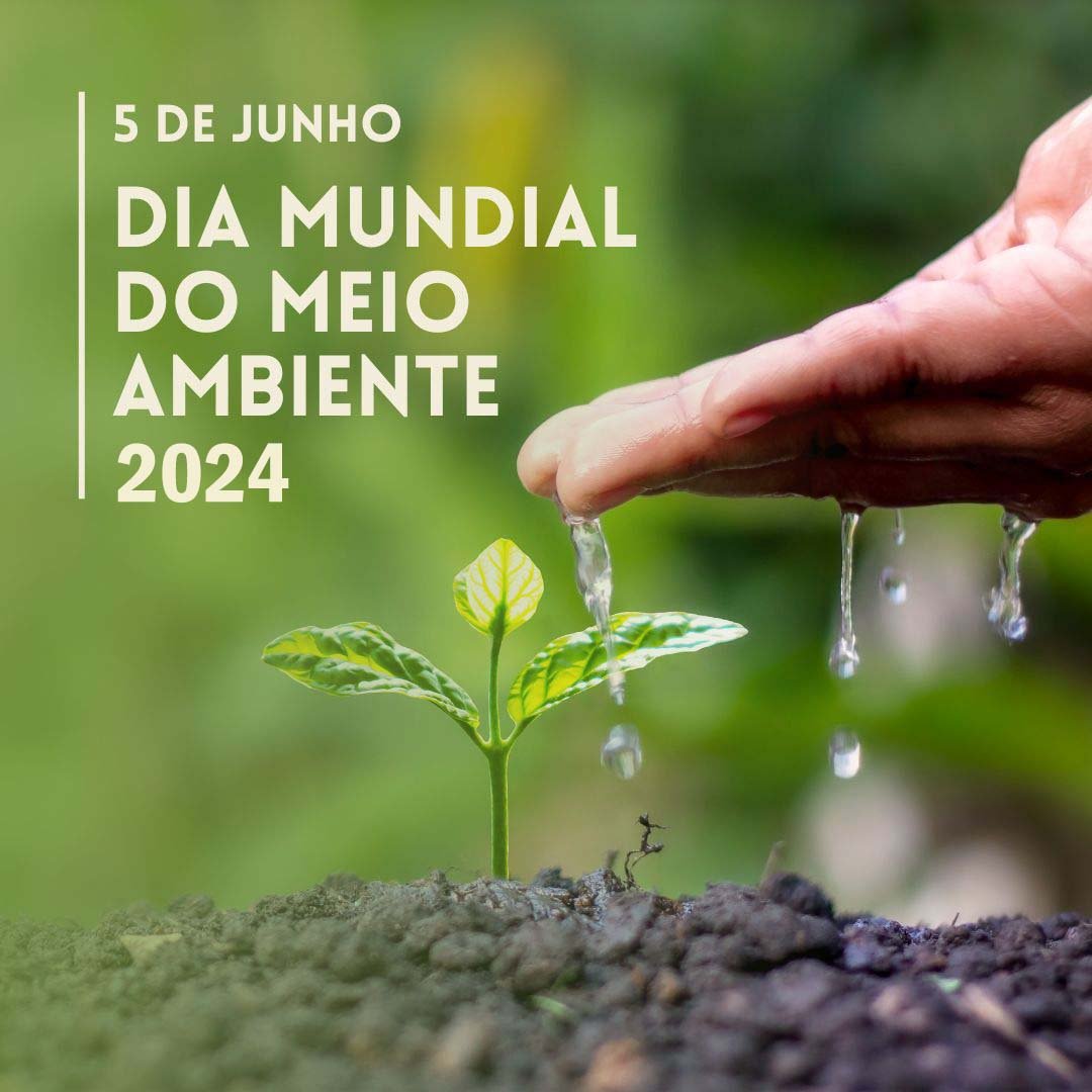 Dia Mundial do Meio Ambiente 2024 Imagens