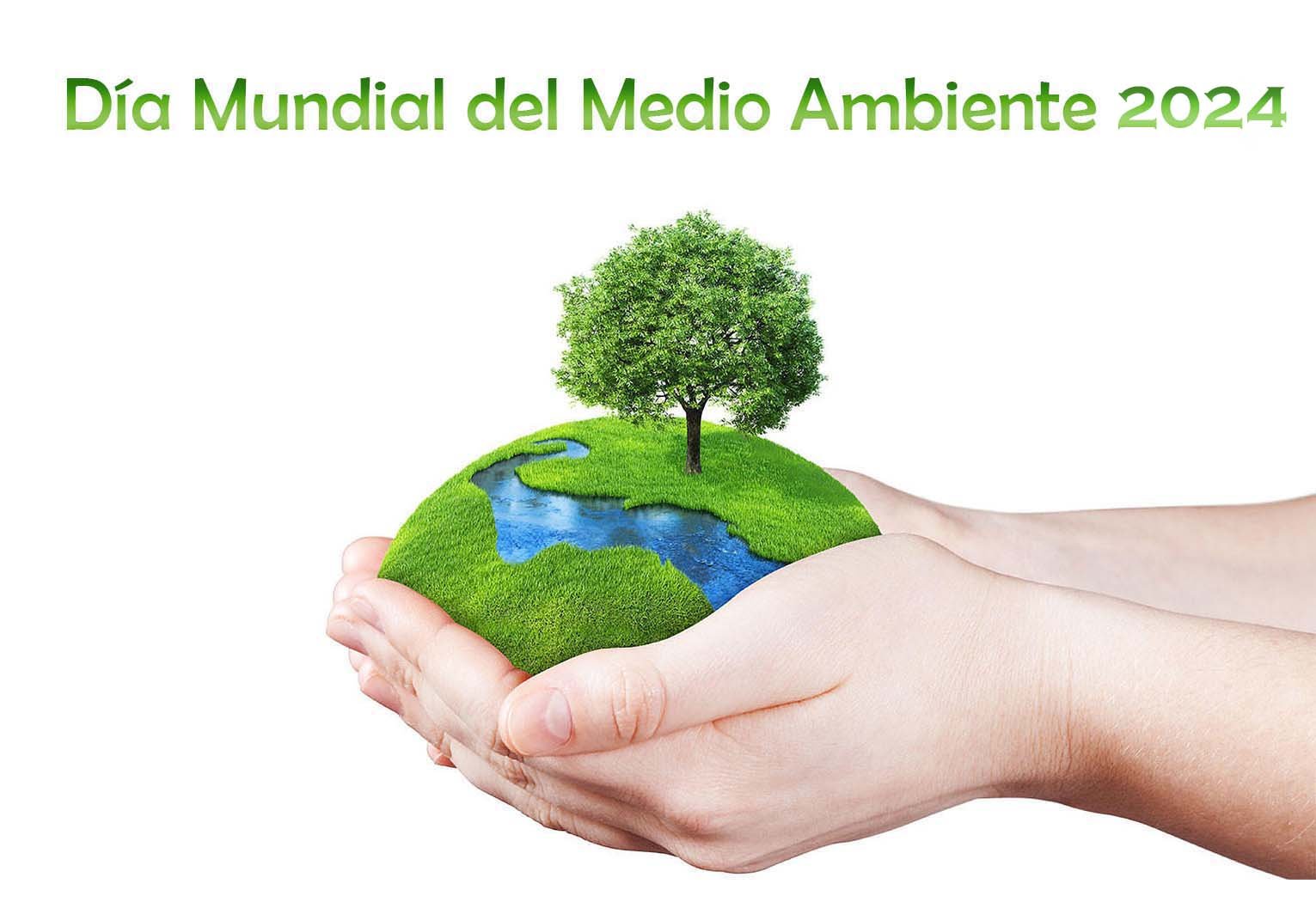 Imagenes del Dia Mundial del Medio Ambiente 2024