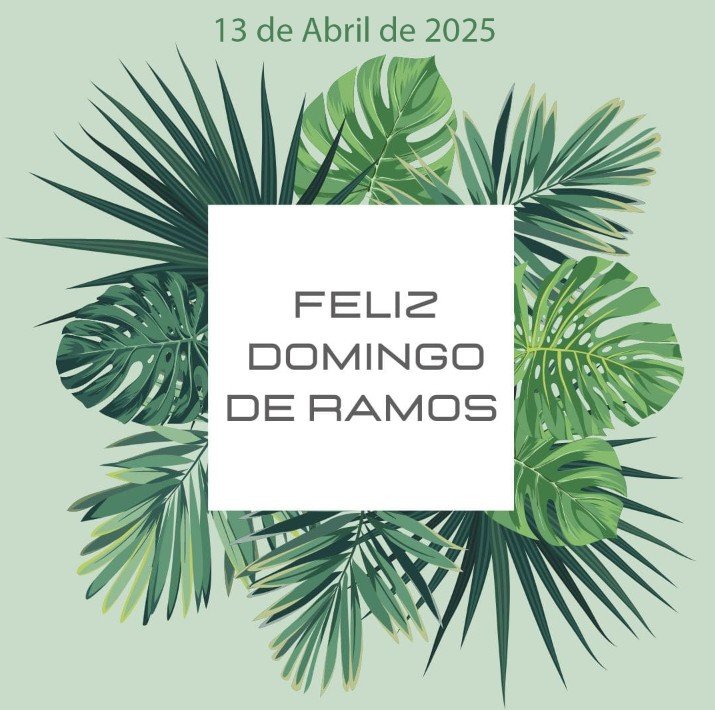 Domingo de Ramos Imagenes