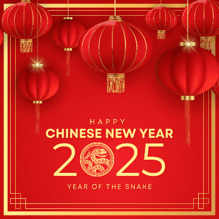 Chinese New Year 2025 GIF