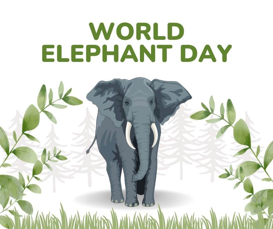 World Elephant Day 2026 Date, When is World Elephant Day Observed in 2026?