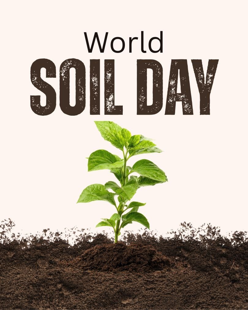 World Soil Day 2026 Date, When is World Soil Day Observed in 2026?